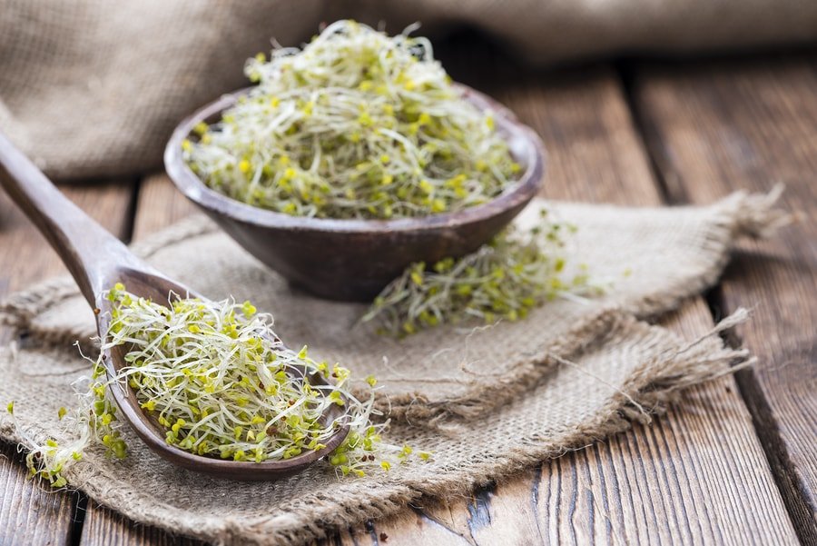 Cancer Prevention Broccoli Sprouts