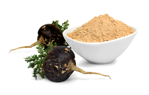 Black Maca for PCOs