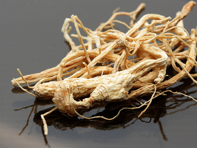 Notoginseng for fertility in Men